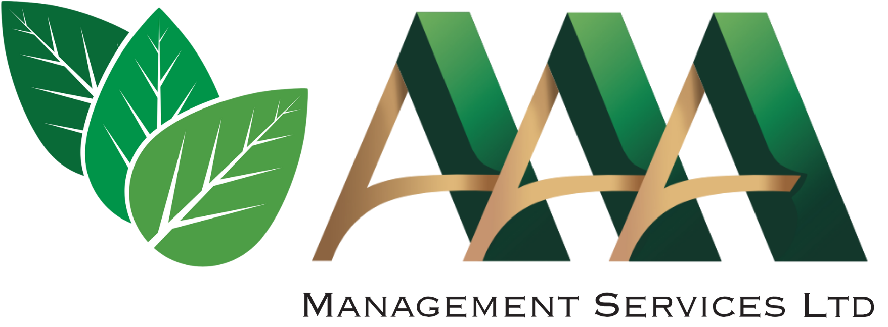 AAA Management Services